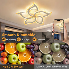 Flower-shaped LED ceiling light with smartphone controls and smooth dimming graphics