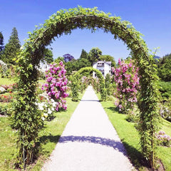 Black metal rose archway trellis forming an arched walkway with side trellis rails