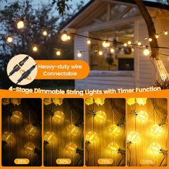 Warm G40 globe string light set with connected heavy-duty wire and dimming
